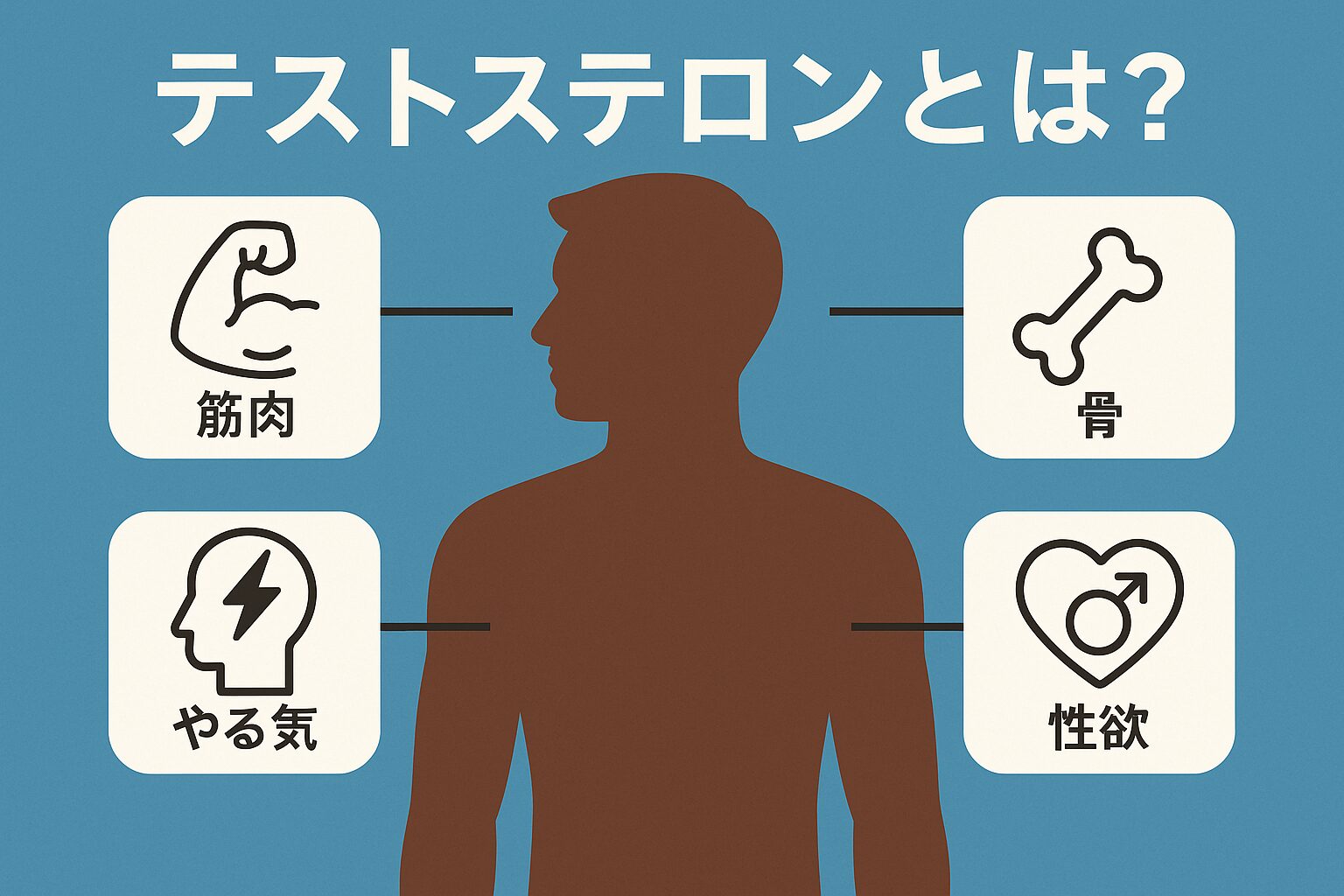 テストステロンとは？