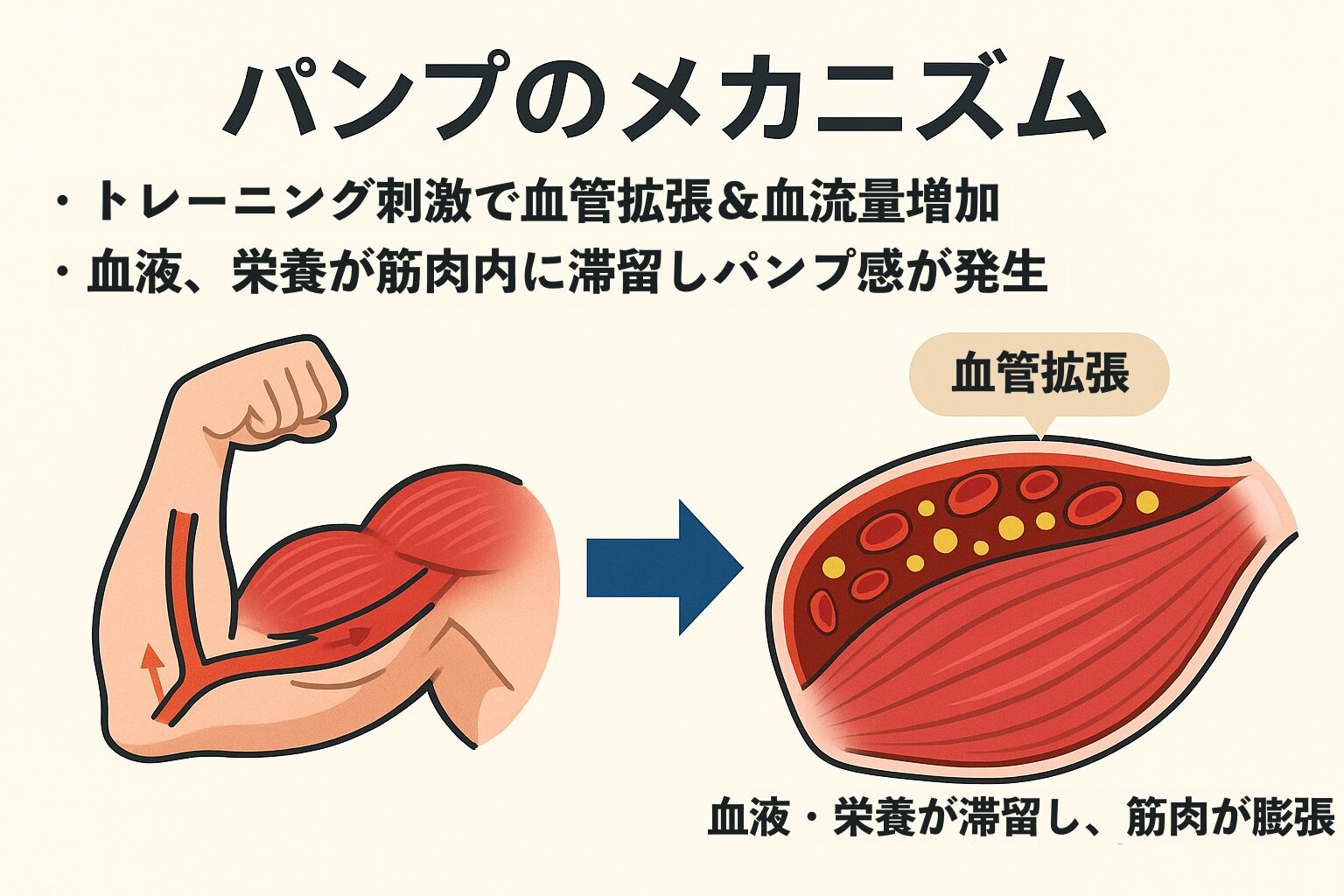 パンプのメカニズムを解説した図解