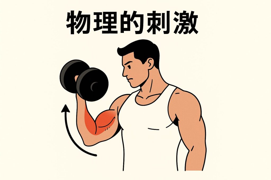 物理的刺激をイメージした画像で男性キャラクターがダンベルを持っている