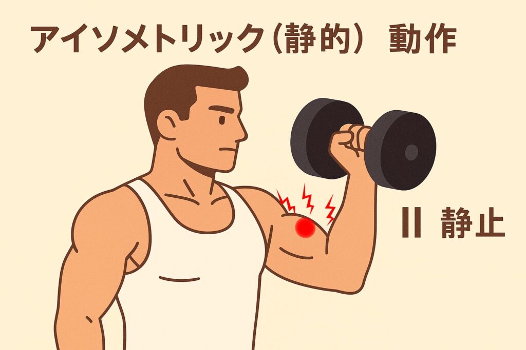 アイソメトリック(静的)動作をイメージした画像 男性キャラクターがダンベルを持ち上げて、そこでキープしている